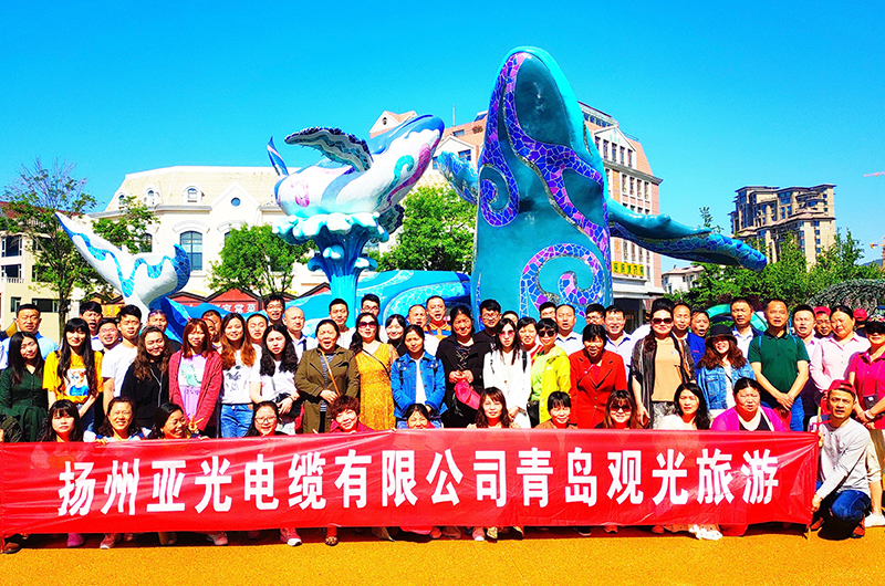 Cabo Co. de Yangzhou Yaguang, Ltd.