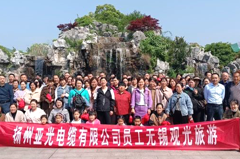 Cabo Co. de Yangzhou Yaguang, Ltd.