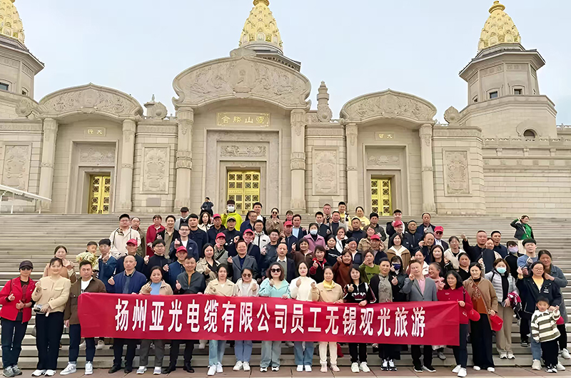 Cabo Co. de Yangzhou Yaguang, Ltd.