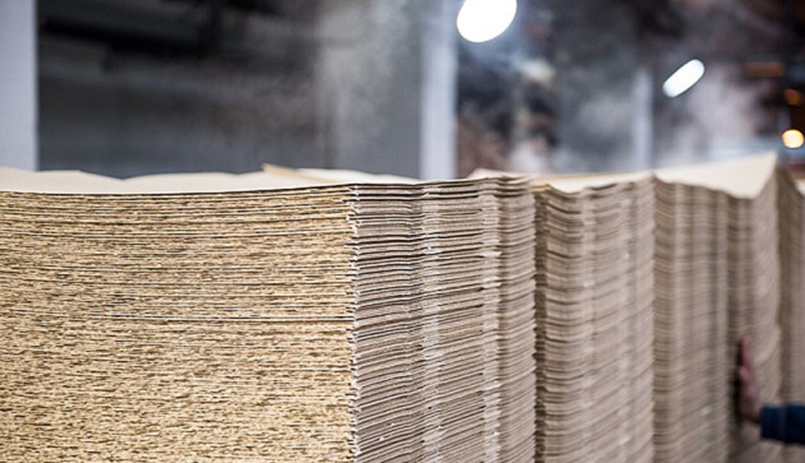 Projeto de Celulose Shandong Rizhao